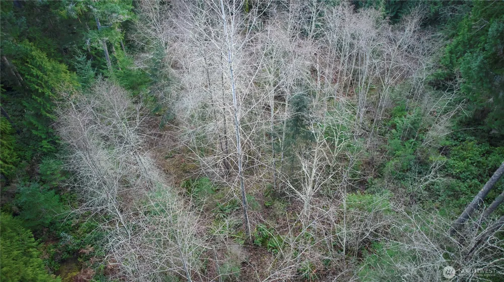 63 XX NW Anderson Hill Road Silverdale, WA 98383