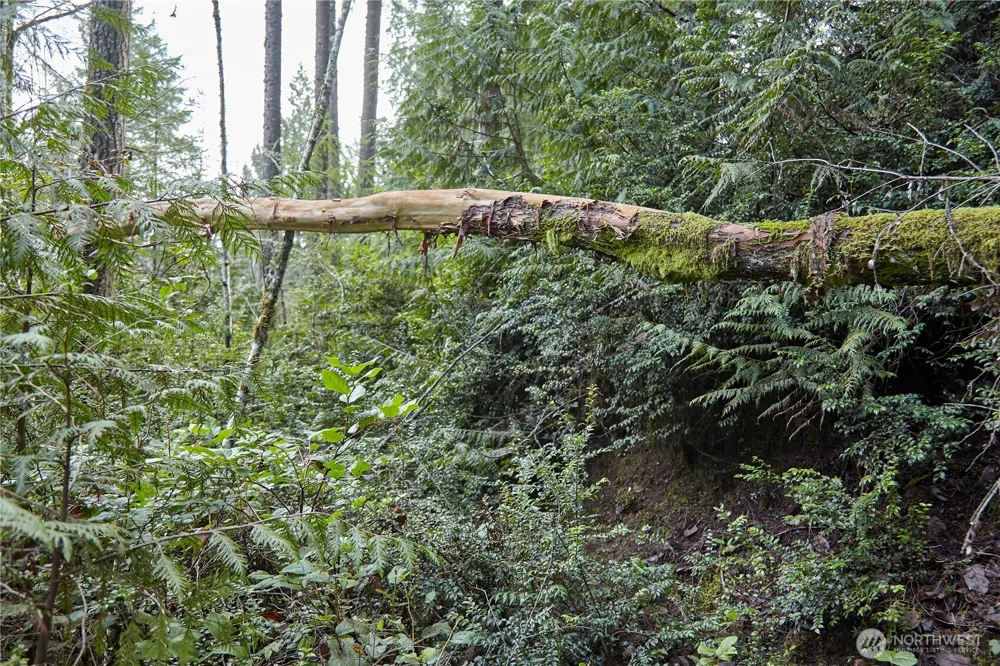 63 XX NW Anderson Hill Road Silverdale, WA 98383