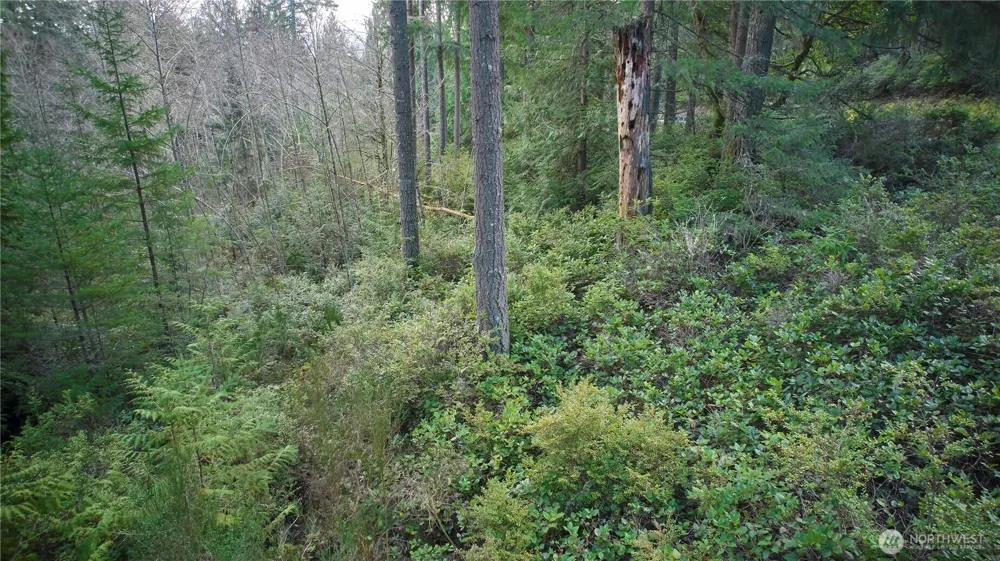 63 XX NW Anderson Hill Road Silverdale, WA 98383