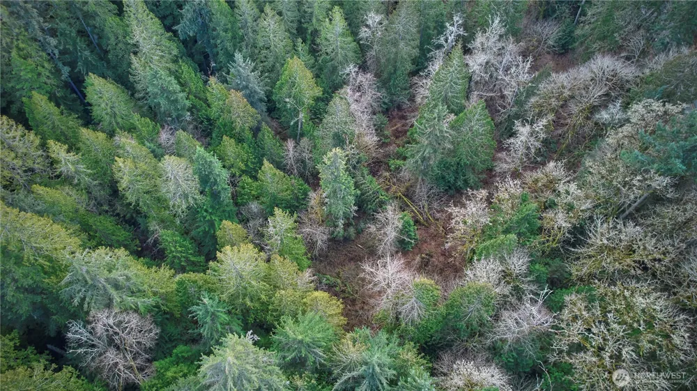 63 XX NW Anderson Hill Road Silverdale, WA 98383