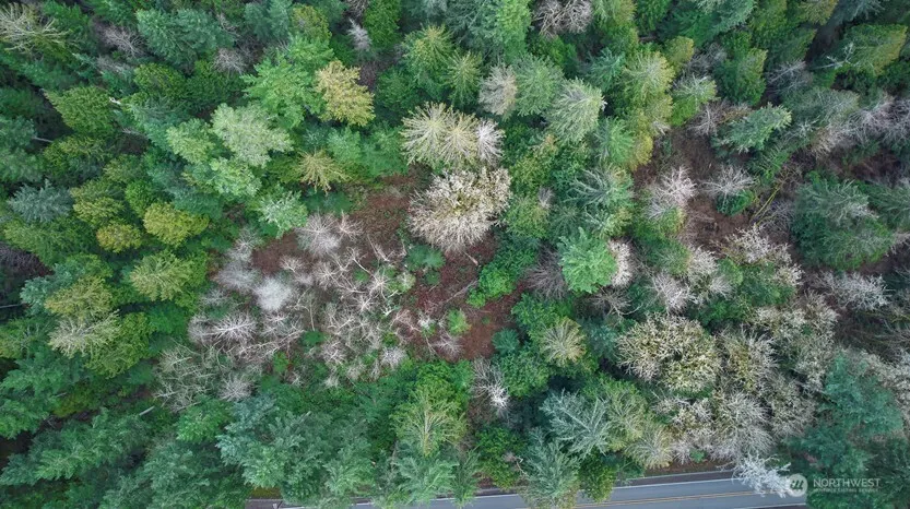 63 XX NW Anderson Hill Road Silverdale, WA 98383