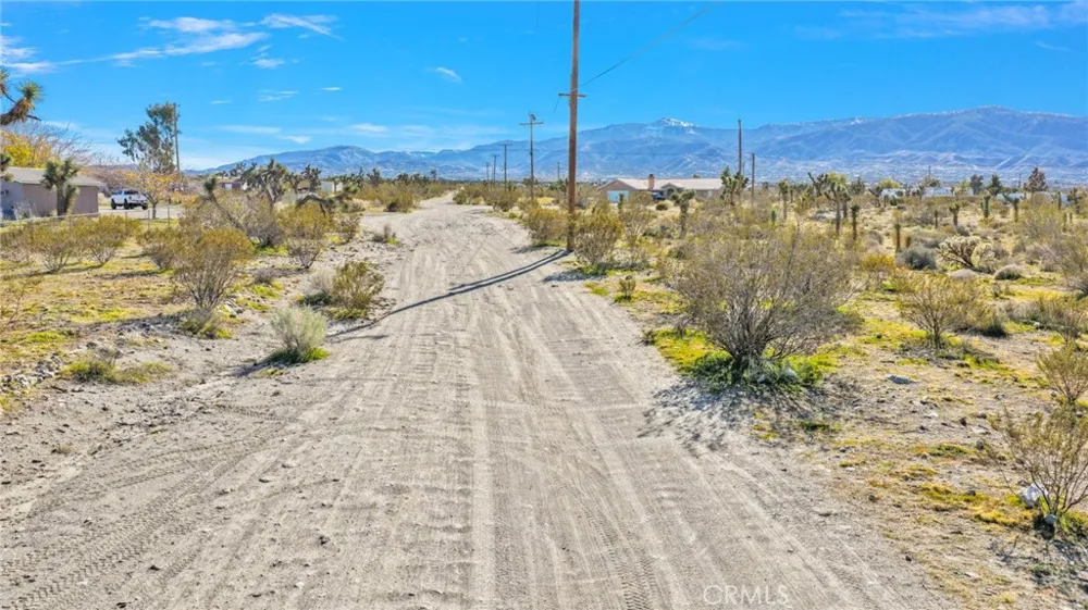 11786 Buckwheat Road Pinon Hills, CA 92372