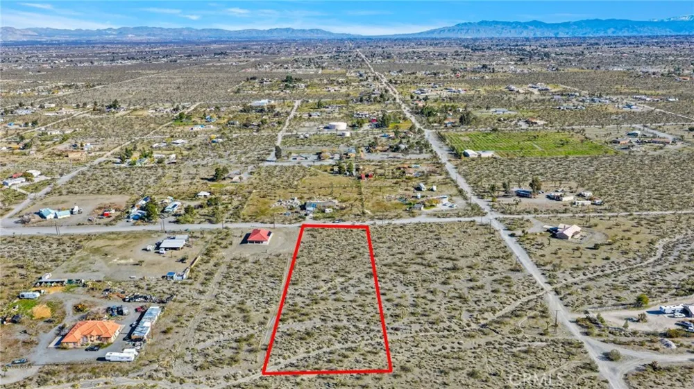 11786 Buckwheat Road Pinon Hills, CA 92372