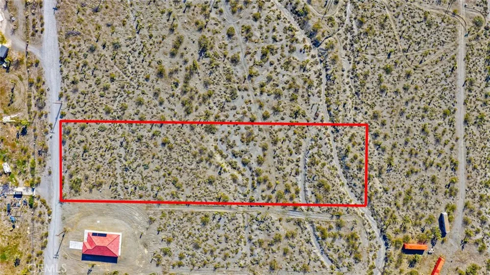 11786 Buckwheat Road Pinon Hills, CA 92372