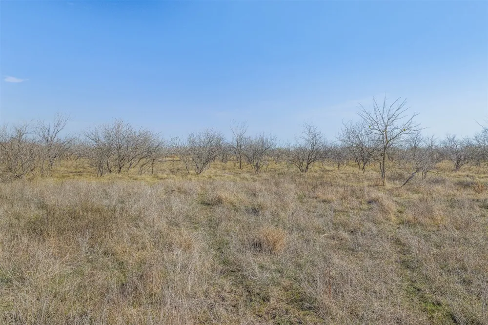 5225 FM 2001 Buda, TX 78610