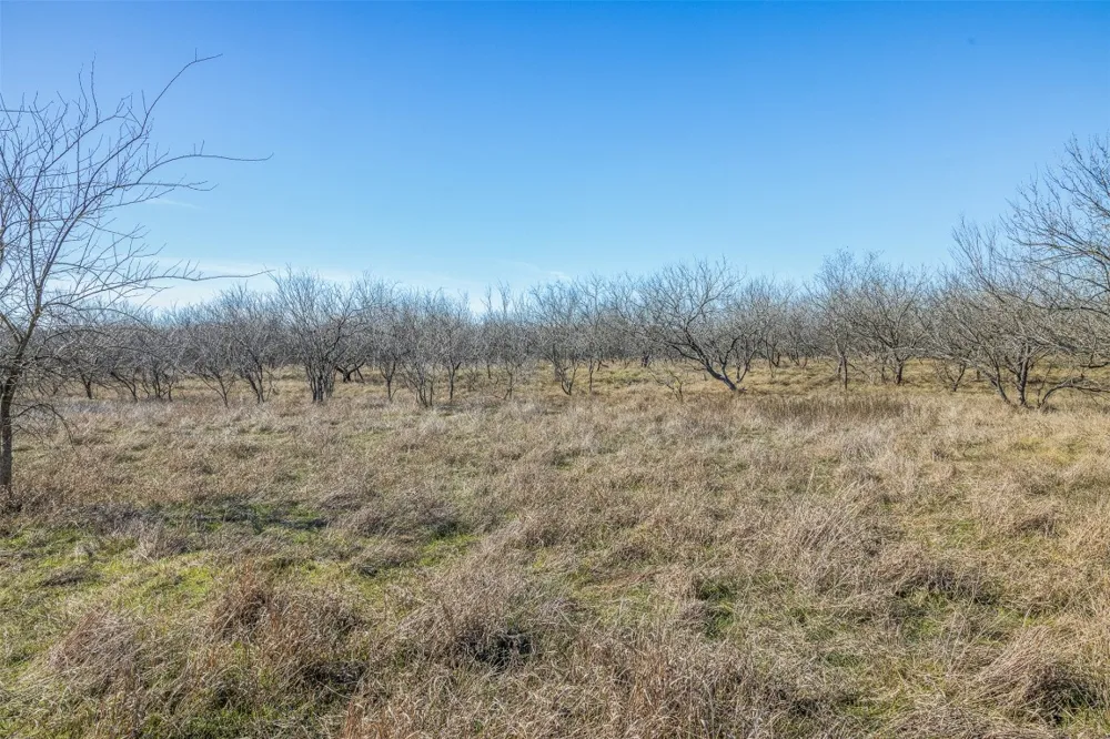 5225 FM 2001 Buda, TX 78610