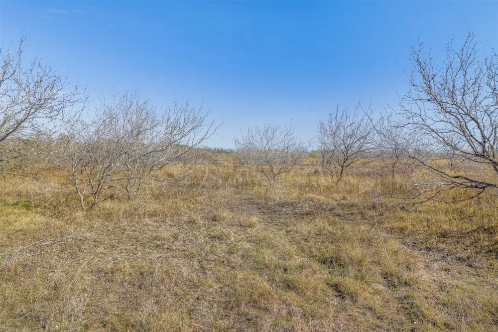 5225 FM 2001 Buda, TX 78610
