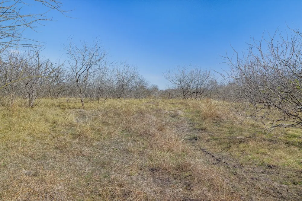 5225 FM 2001 Buda, TX 78610