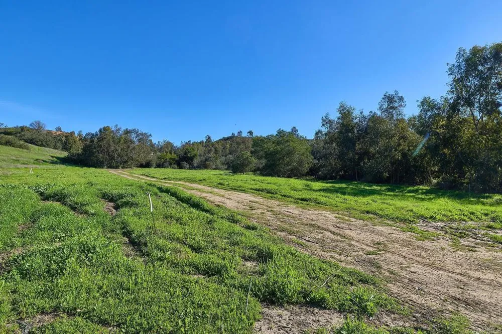 16331 Rambla De Las Flores Rancho Santa Fe, CA 92067