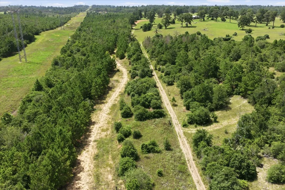 Hwy 21 East Highway Bastrop, TX 78602