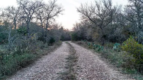 137 Shady Oaks Loop