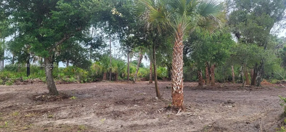 315 Ivanhoe Ave La Belle, FL 33935