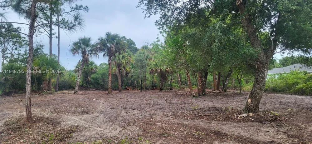 315 Ivanhoe Ave La Belle, FL 33935