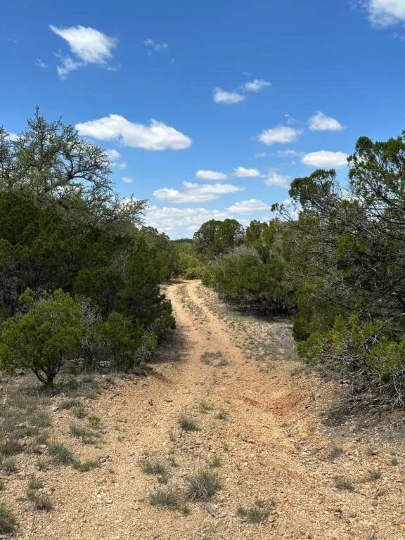 County Road 529 Mullin, TX 76864
