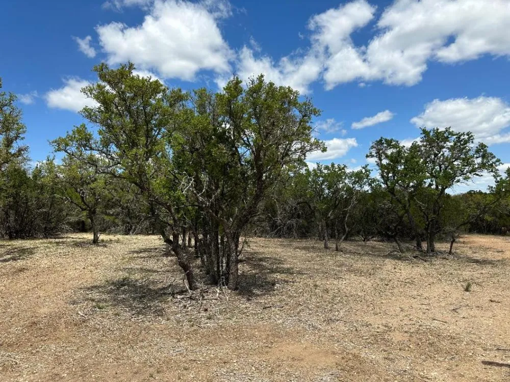 County Road 529 Mullin, TX 76864