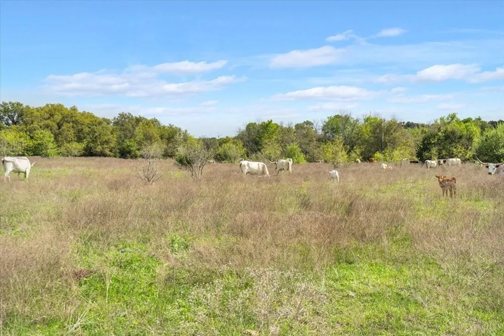 Dan Morgan Road China Spring, TX 76633