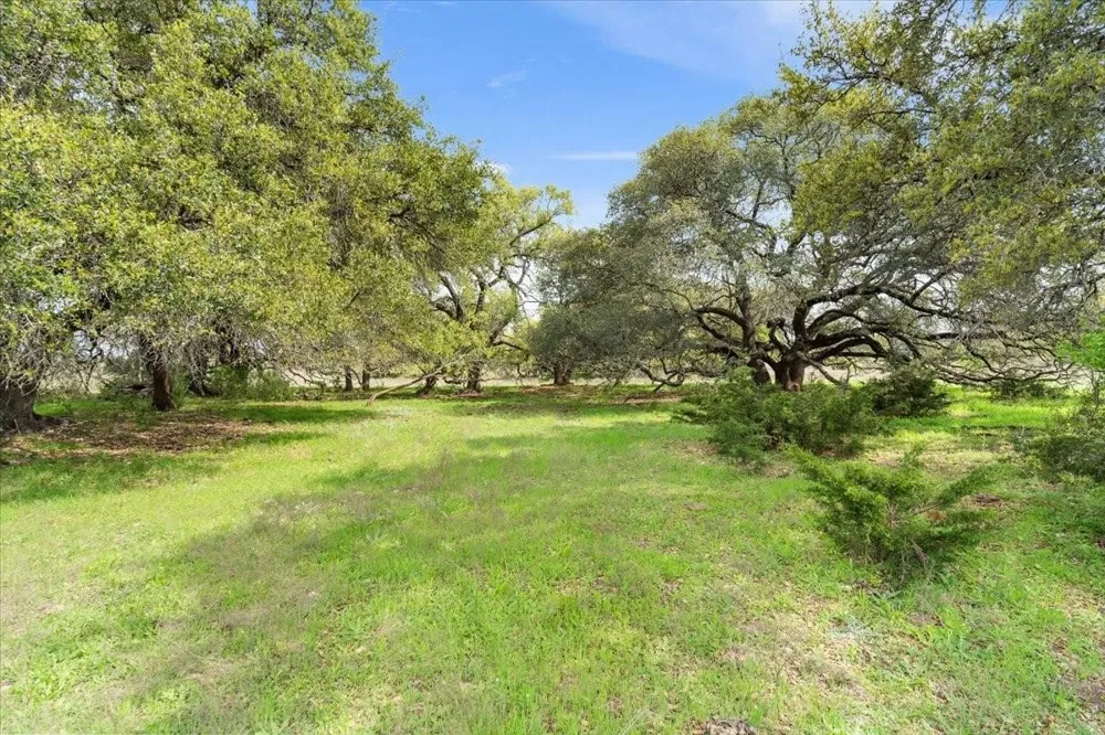 Dan Morgan Road China Spring, TX 76633