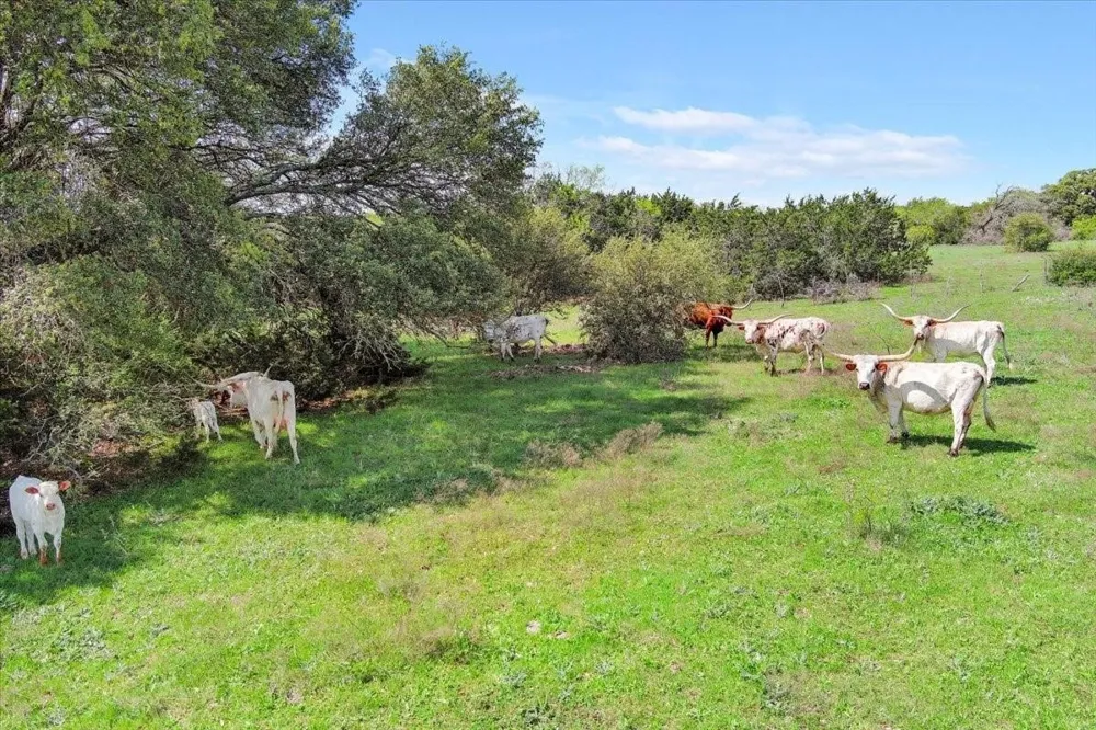 Dan Morgan Road China Spring, TX 76633