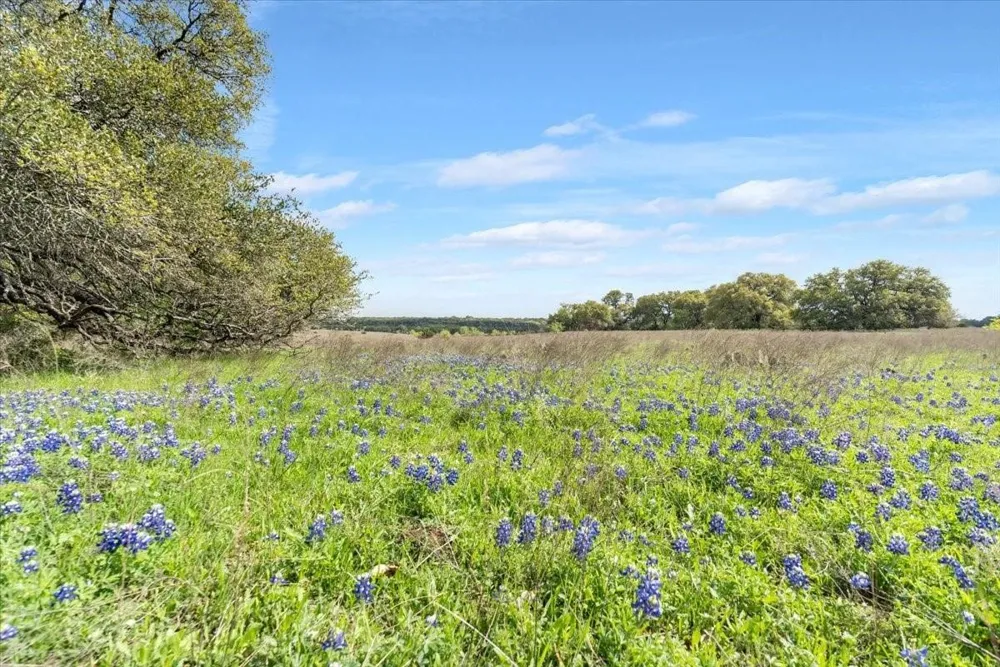 Dan Morgan Road China Spring, TX 76633