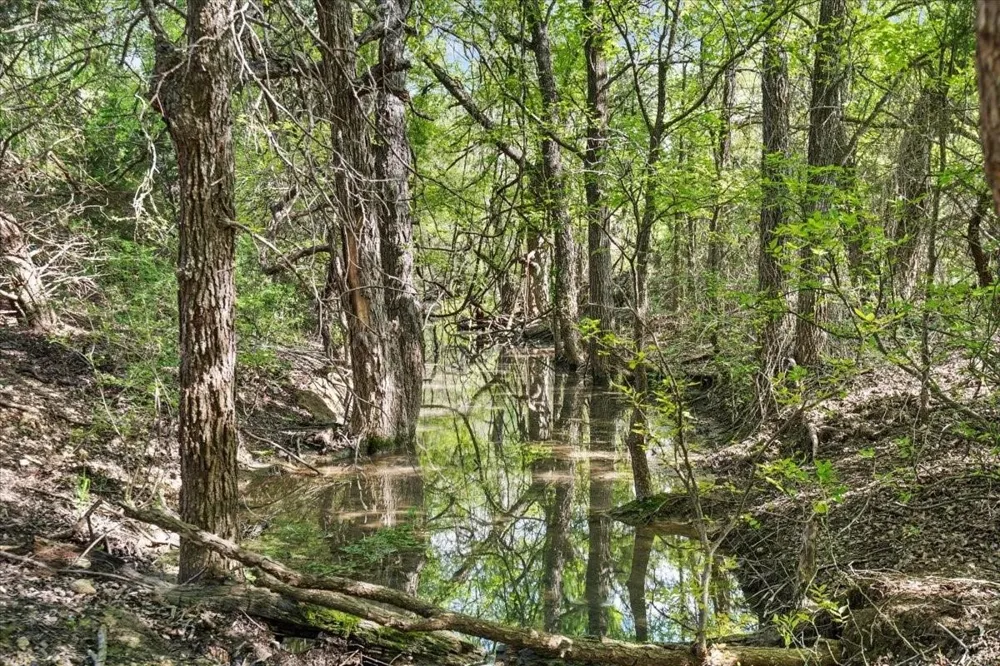 Dan Morgan Road China Spring, TX 76633
