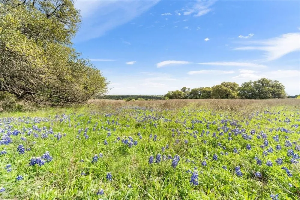 Dan Morgan Road China Spring, TX 76633