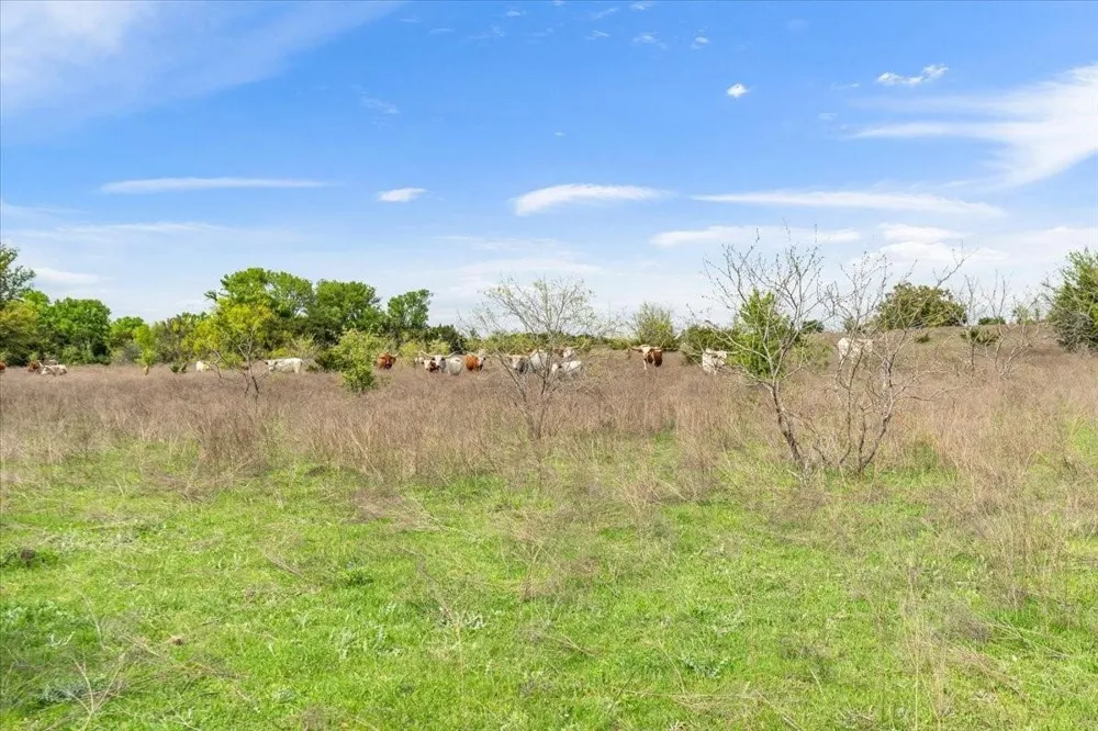 Dan Morgan Road China Spring, TX 76633