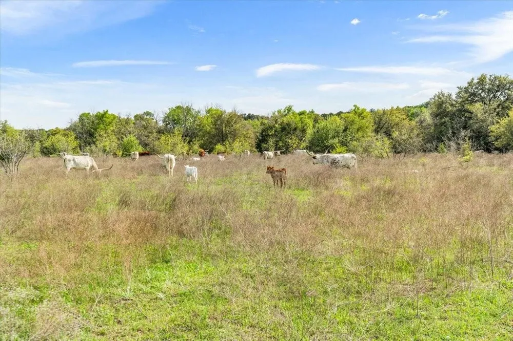 Dan Morgan Road China Spring, TX 76633