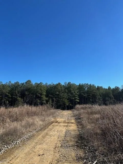 3 50th Avenue Gruetli Laager, TN 37339
