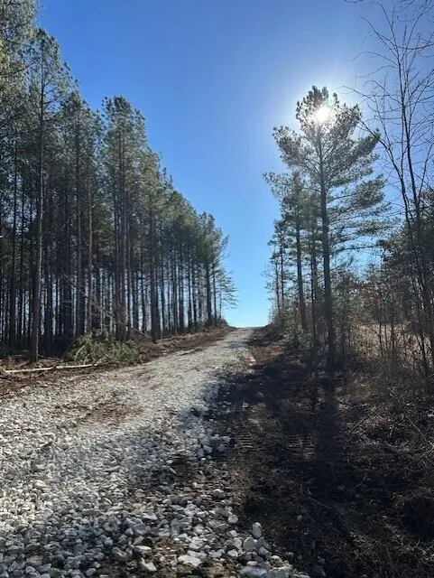 2 50th Avenue Gruetli Laager, TN 37339
