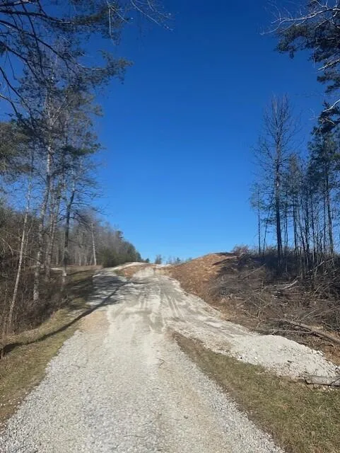 5 50th Avenue Gruetli Laager, TN 37339