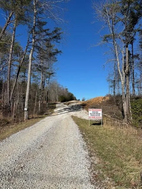 5 50th Avenue Gruetli Laager, TN 37339