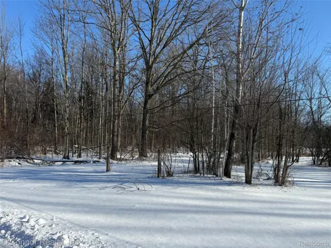 Smiths Creek Road