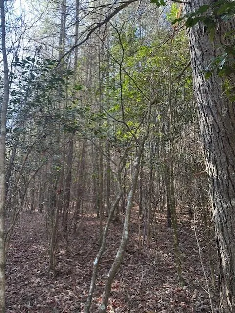 6 50th Avenue Gruetli Laager, TN 37339
