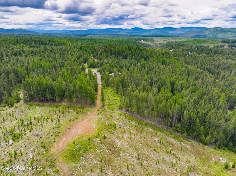 629 Flat Creek Road St. Maries, ID 83861
