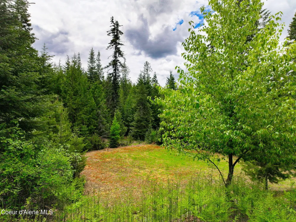 629 Flat Creek Road St. Maries, ID 83861