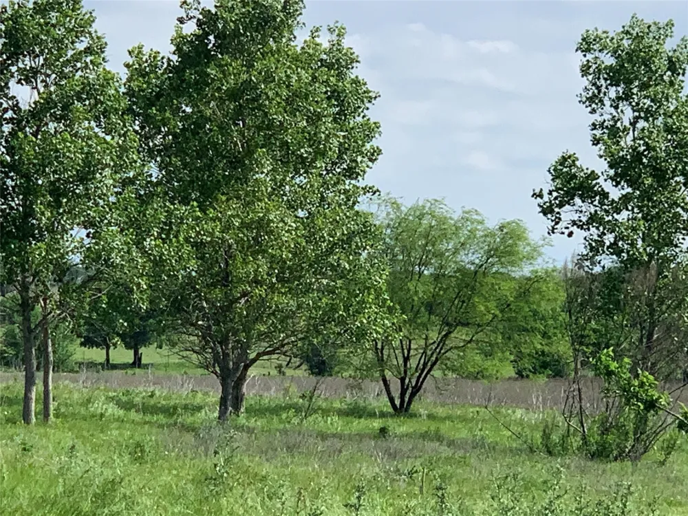 4748 COUNTY RD 1010 Joshua, TX 76044