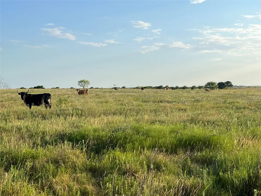 4748 COUNTY RD 1010 Joshua, TX 76044