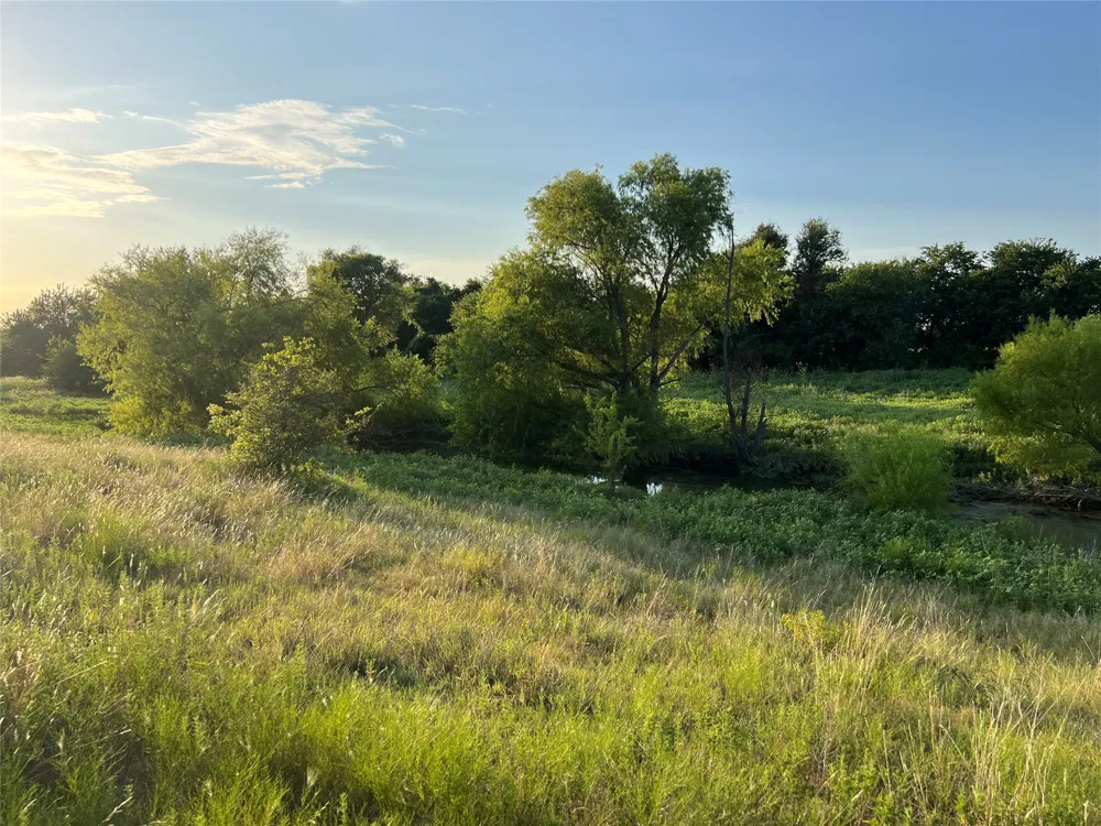 4748 COUNTY RD 1010 Joshua, TX 76044