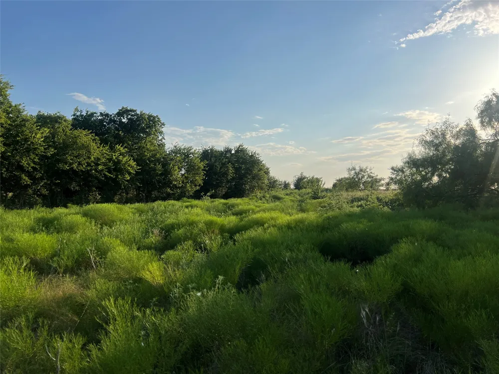 4748 COUNTY RD 1010 Joshua, TX 76044