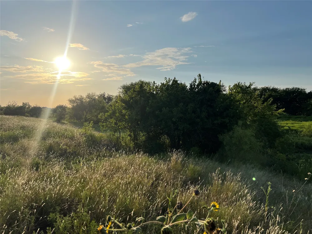 4748 COUNTY RD 1010 Joshua, TX 76044