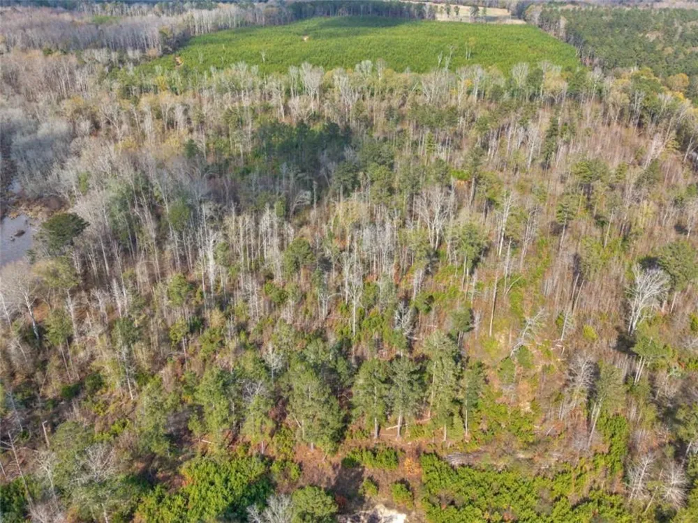 481 Turner Road Concord, GA 30206