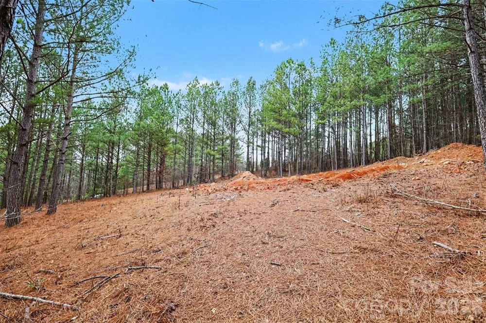 140 Riverview Drive Mooresboro, NC 28114