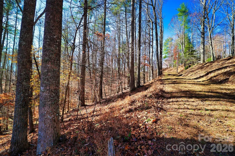 TBD Rocking Horse Trail Burnsville, NC 28714