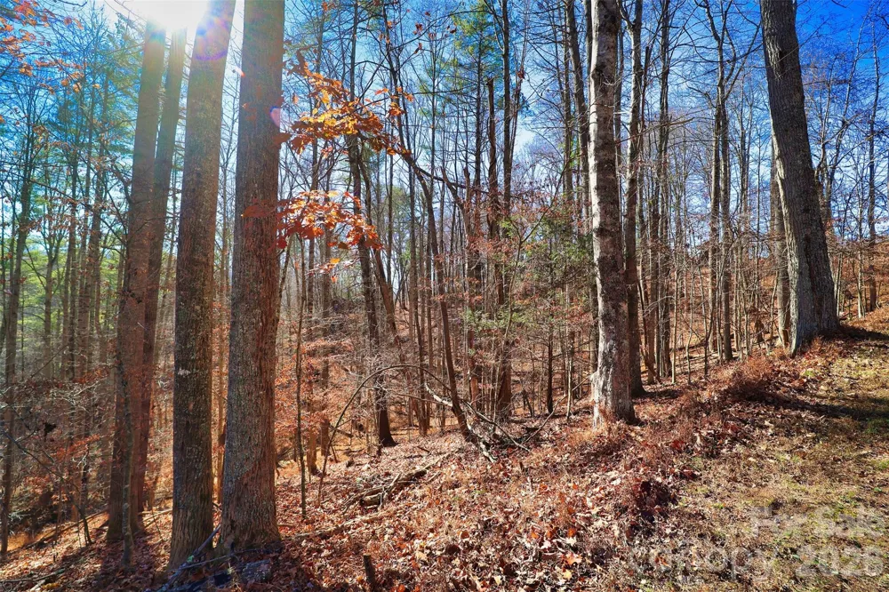 TBD Rocking Horse Trail Burnsville, NC 28714