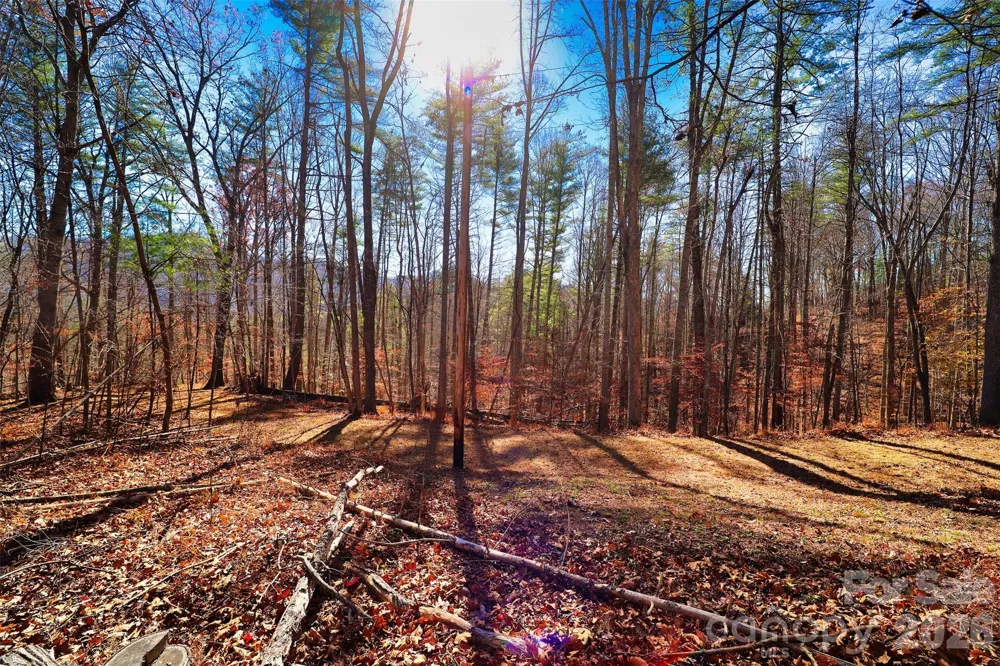 TBD Rocking Horse Trail Burnsville, NC 28714