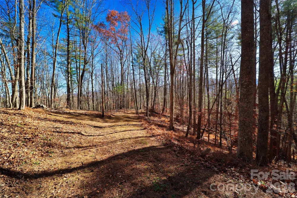 TBD Rocking Horse Trail Burnsville, NC 28714