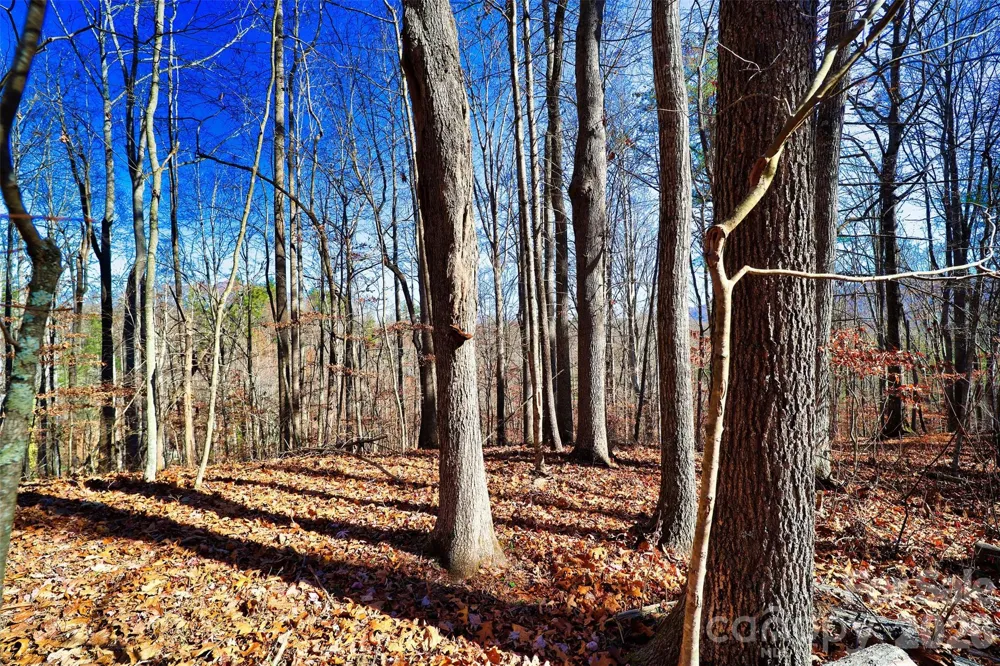 TBD Rocking Horse Trail Burnsville, NC 28714
