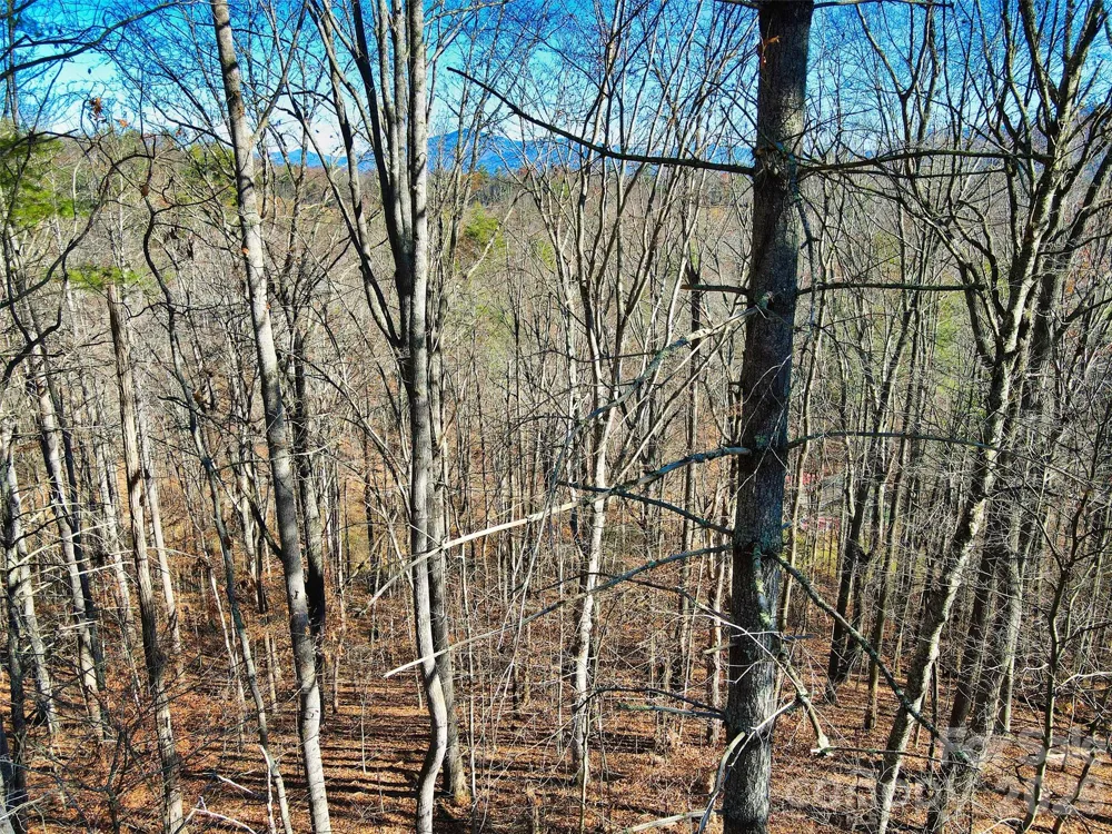 TBD Rocking Horse Trail Burnsville, NC 28714