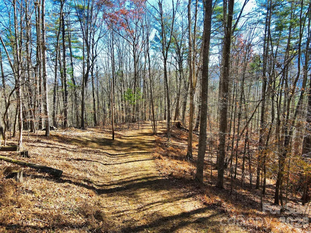 TBD Rocking Horse Trail Burnsville, NC 28714