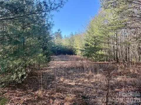 2095 Hitching Post Trail #G45